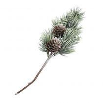 RAMEAU SAPIN AVEC POMME DE PIN