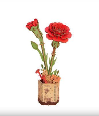 RED CARNATION