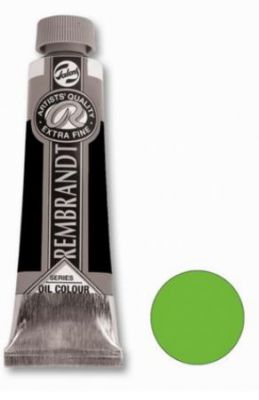 REMBRANDT VERT PERMANENT CLAIR