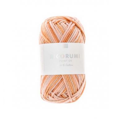 RICORUMI DK MIX SAUMON 25G