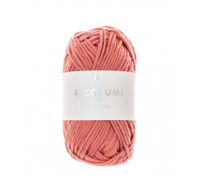 RICORUMI DK TERRE CUITE 25G