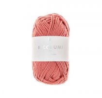 RICORUMI DK TERRE CUITE 25G