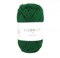 RICORUMI DK VERT SAPIN 25G