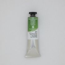 RIVE GAUCHE 40ML VERT OXYDE DE CHROME