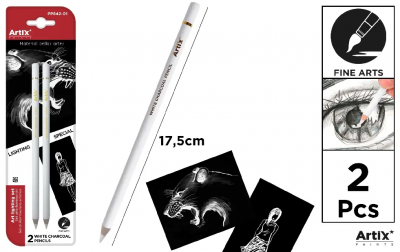 SET 2 CRAYONS FUSAIN BLANC