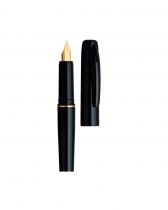 STYLO PLUME DESK PEN NOIR EXTRA FIN PLATINIUM