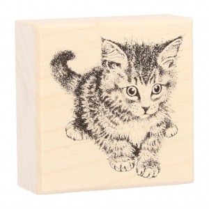 Tampon Bois Bebe Chaton Janv