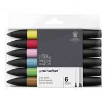 W&N PROMARKER SET 6PC TONS MOYENS